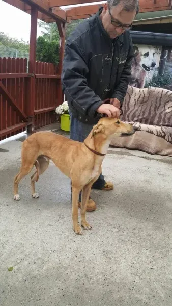 21908671 1430590247024899 809128605 o