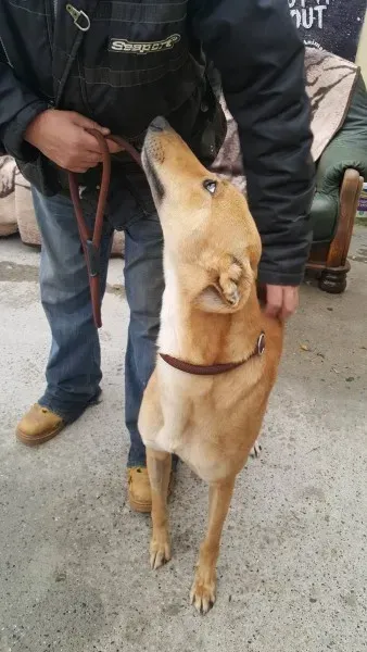 21908735 1430590477024876 1188614677 o