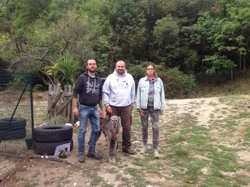 21908762 879807092174556 2117291811 o