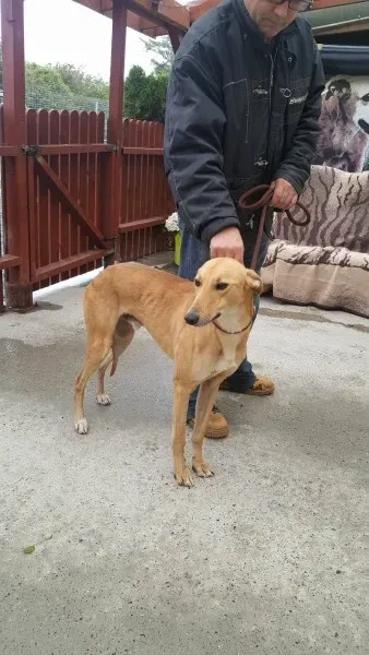 21908809 1430590450358212 970960402 o