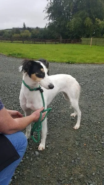 21908991 1430674773683113 56064366 o