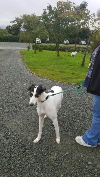 21909052 1430674683683122 393394411 o