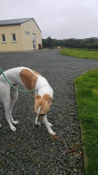 21930784 1430613753689215 455984559 o