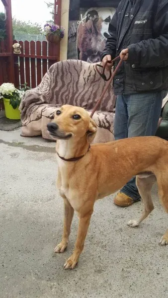 21931070 1430590463691544 1476758130 o