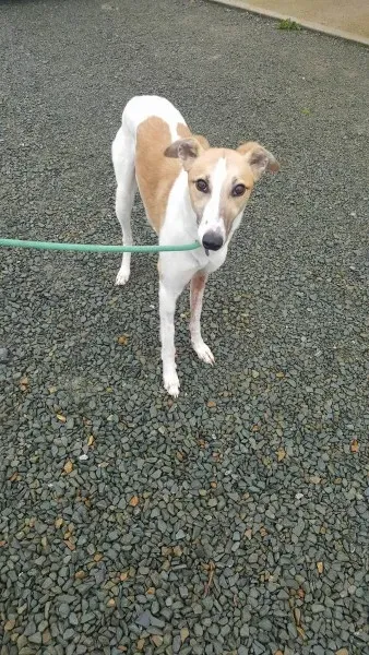 21931181 1430613463689244 2006655911 o