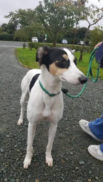 21931340 1430674640349793 1209778323 o