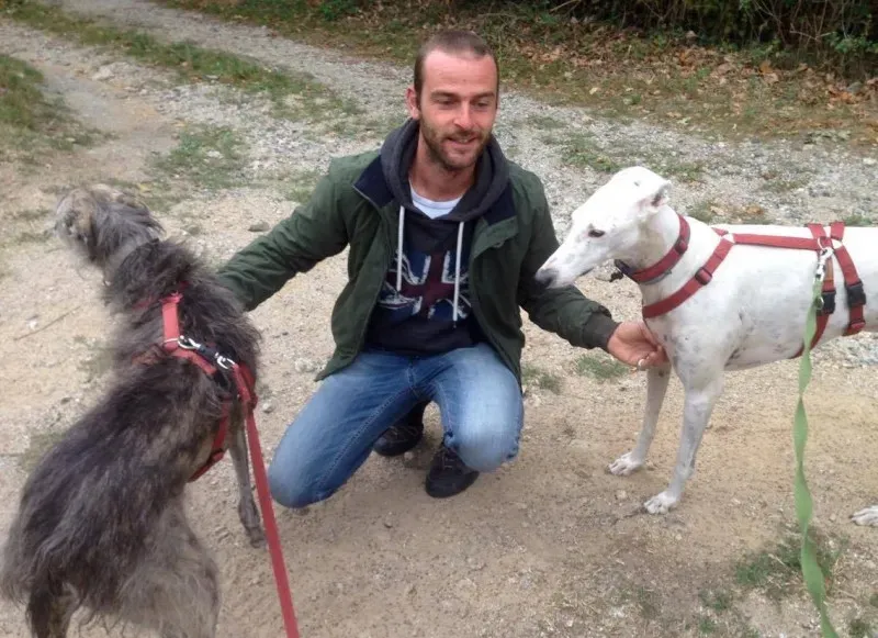 21931363 879806748841257 865352287 o