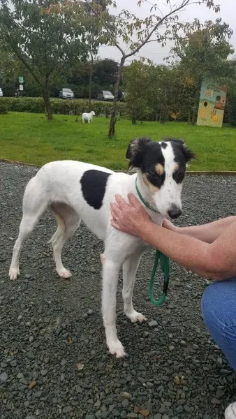 21931365 1430674763683114 1565548789 o