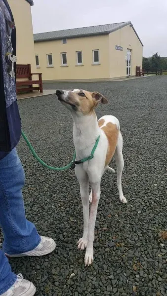 21931565 1430613670355890 1410092142 o