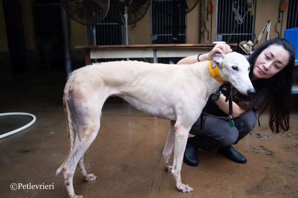 22 DSCF5564 1024x682