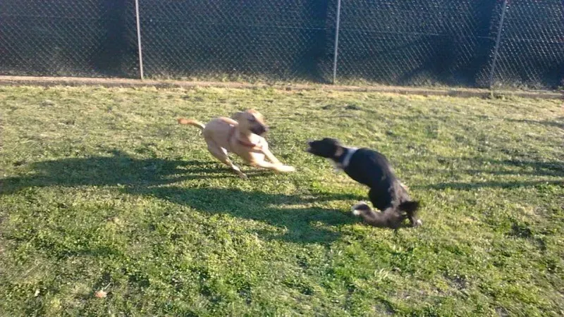 22001 10206606372465090 1285235699209810467 n