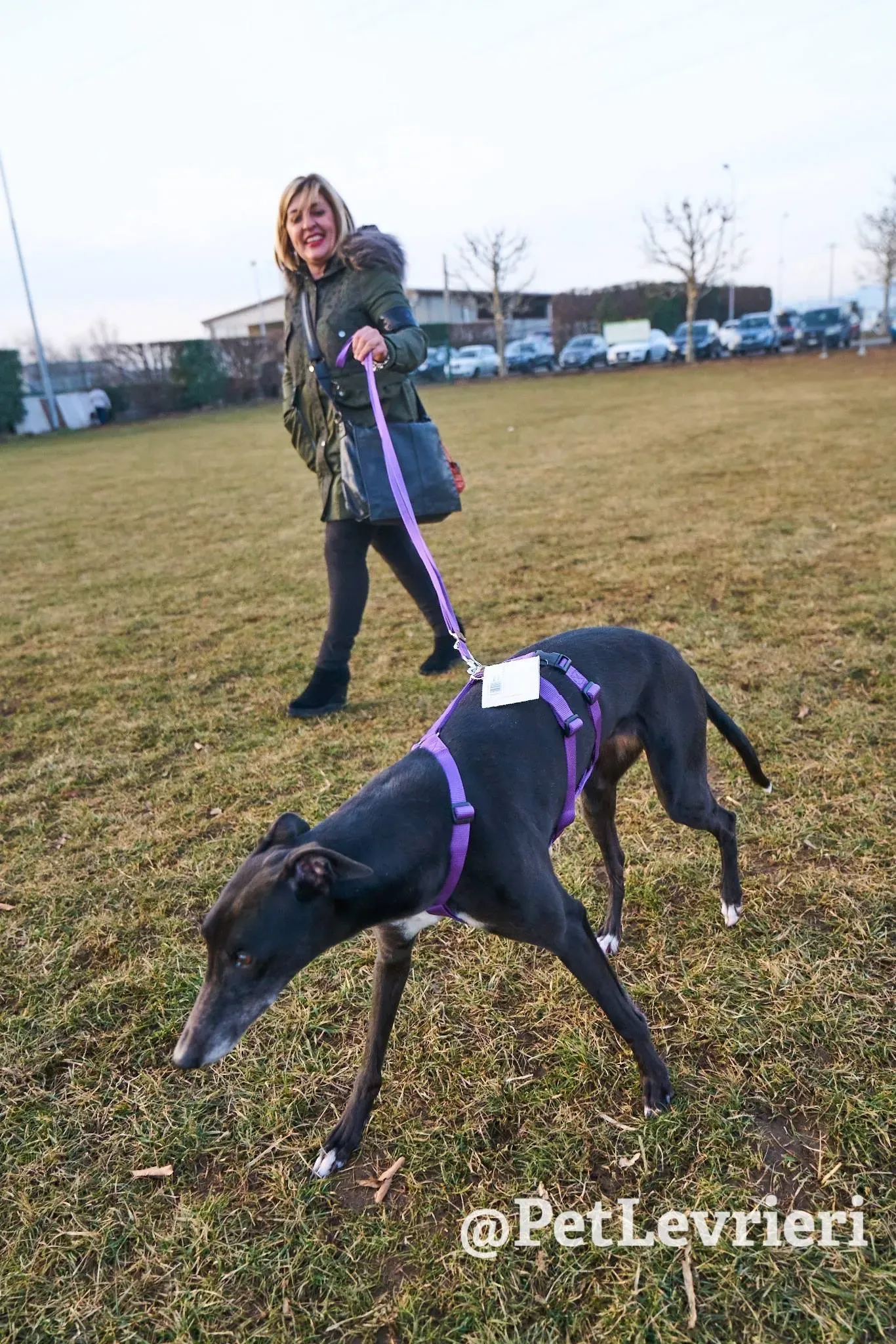 221F5049 AC86 4336 A553 7C27D123E5AD