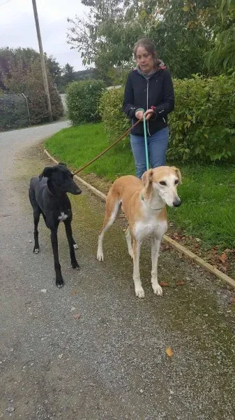 22251387 1530155333742731 1380887506 o