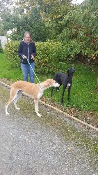 22279123 1530155373742727 2137912590 o