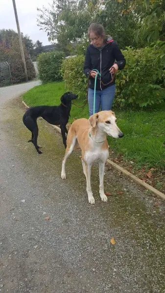 22279157 1530155350409396 843711305 o