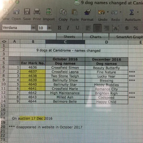 22281250 1312904388844254 818140930 o