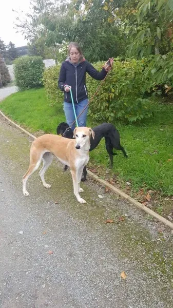 22281472 1530155380409393 212273072 o