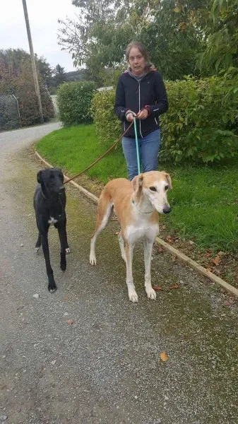 22290674 1530155357076062 655633103 o