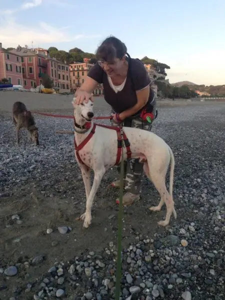 22310330 888463817975550 6573420700370130801 n