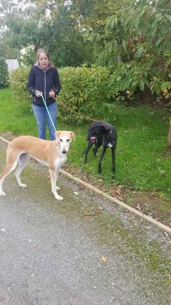 22311953 1530155337076064 1223517551 o