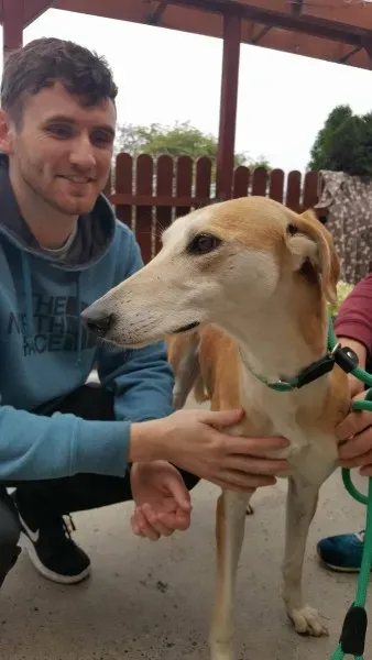 22311994 1444862965597627 2033711818 o