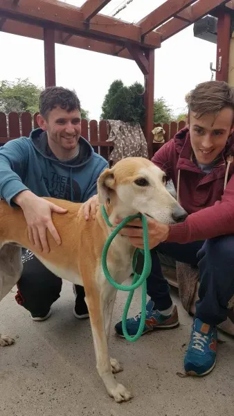 22345163 1444973962253194 123679465 o