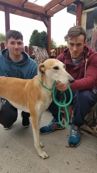 22345542 1444973925586531 501935525 o