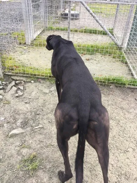 22368794 10154710572245194 1994862202 o