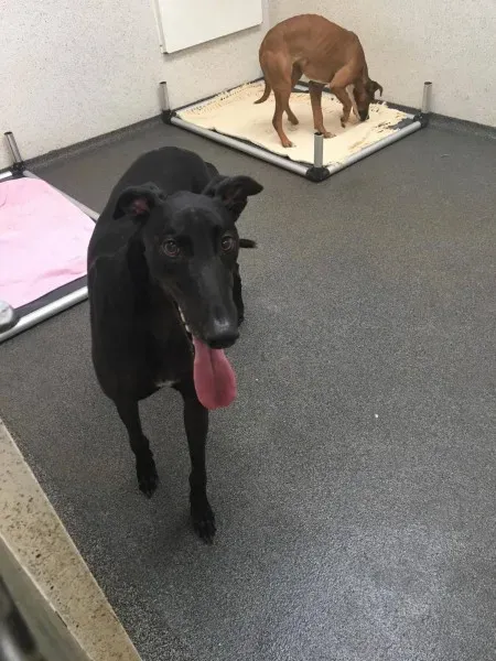 22368972 10154710961675194 1340097395 o