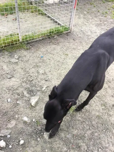 22368992 10154710572855194 689871010 o