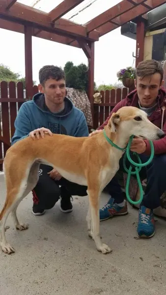 22369003 1444973978919859 1363258740 o