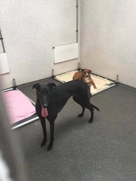 22375389 10154710961620194 606439012 o