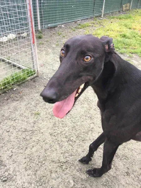 22375538 10154710599570194 563388259 o