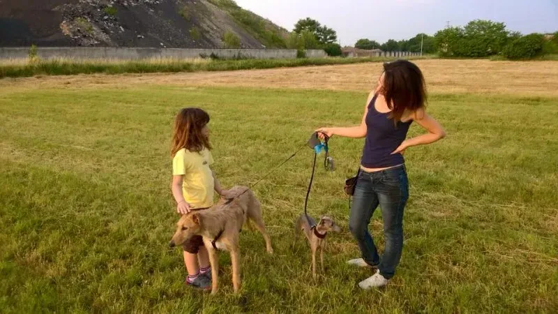 22390 850861298338808 2414846073462921729 n