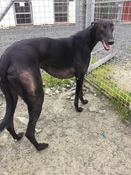 22396490 10154710613080194 516076390 o