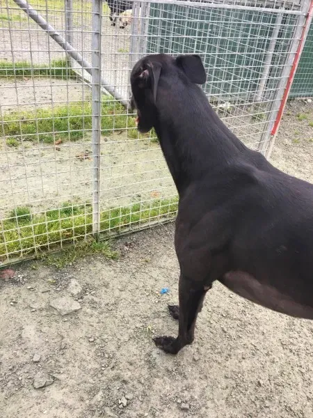 22403981 10154710569495194 953886429 o