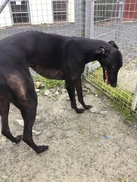 22404360 10154710603495194 2096981016 o