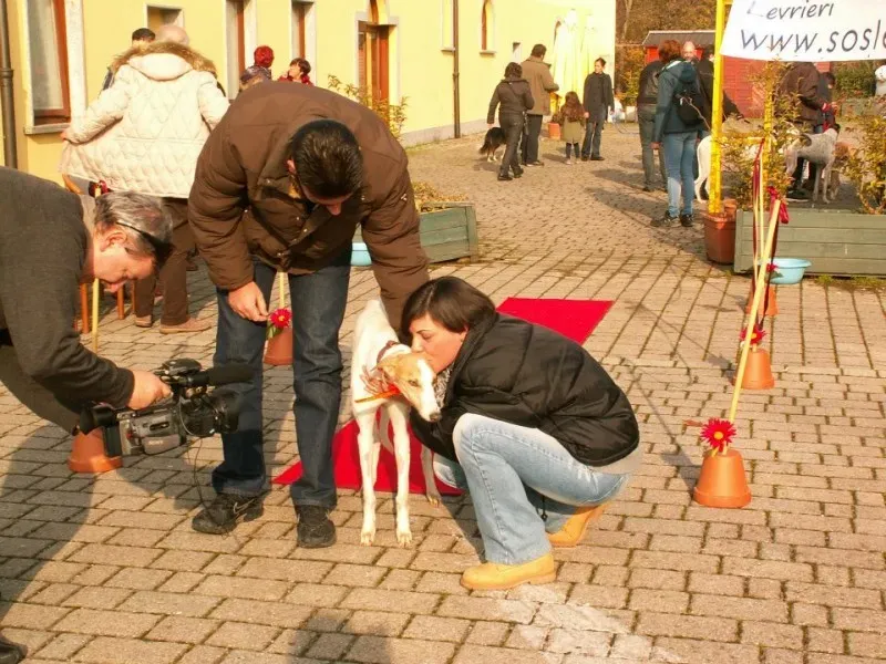 224044 457667264280053 979243257 n