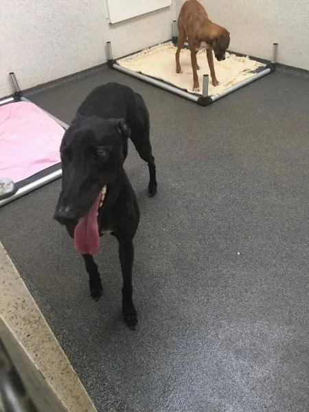 22425886 10154710961940194 841144295 o