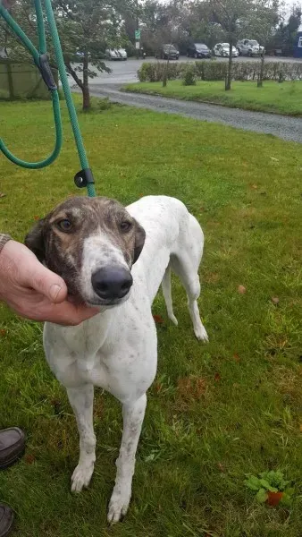 22450864 1454396107977646 151077846 o