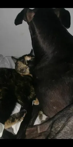 22459121 10214133353078091 5290965221032695691 o