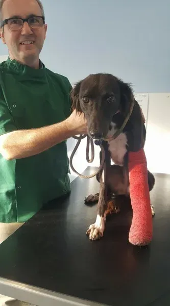 22496303 1872836659400691 8716406741549569767 o