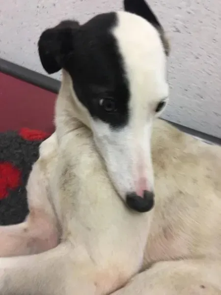 22496901 10154724581940194 1625084507 o