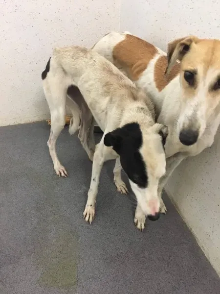 22496935 10154724589320194 1731268978 o