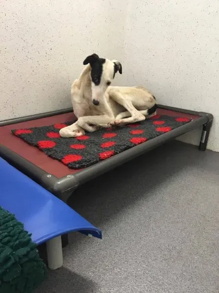 22496989 10154724587600194 483697949 o