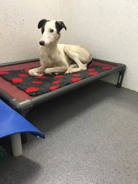 22497074 10154724587795194 1408408640 o