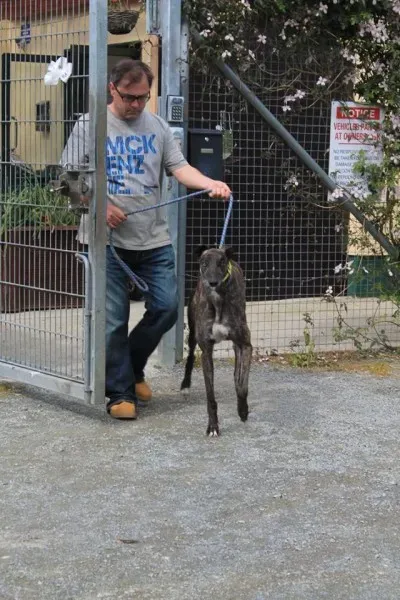 22518 1014946631856369 8828547388281951284 n