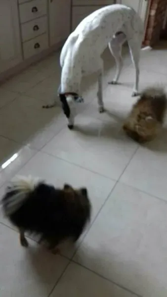 22522220 1451998094884114 62296502 o