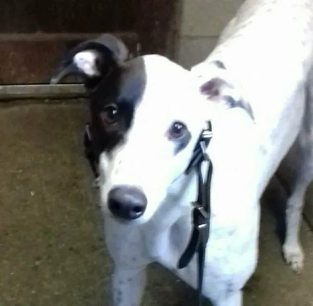 22522437 1451998504884073 36870722 o