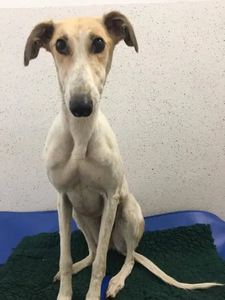 22532230 10154724587350194 1927288548 o